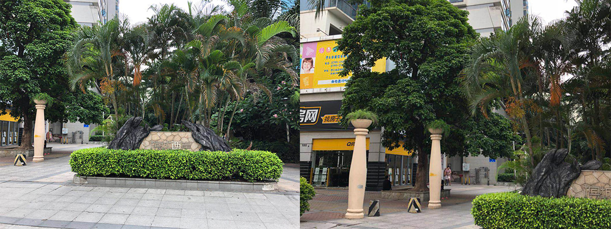 檳城西岸 檳城西岸